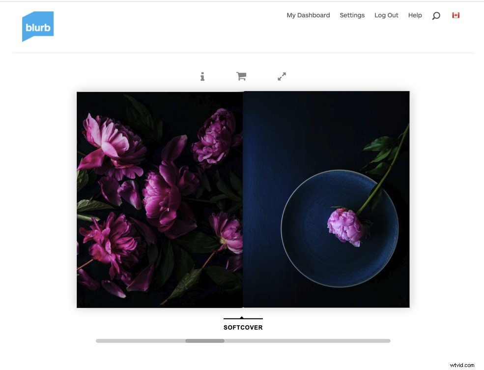 5 Proven Tips to Boost Your Photography Business Marketing Success