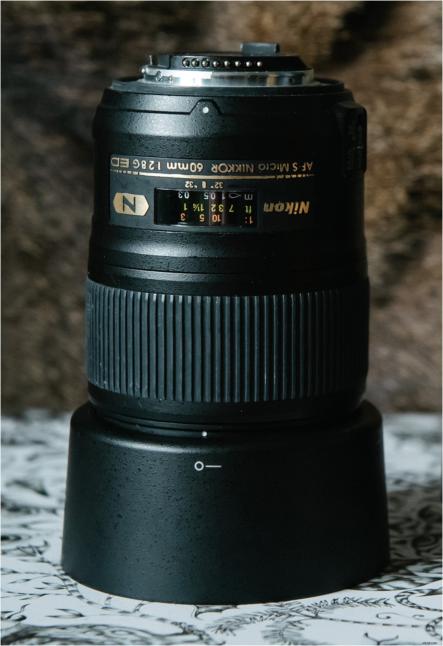 3 Expert Tips for Stunning Holiday Photos with the Nikkor 60mm Micro Lens