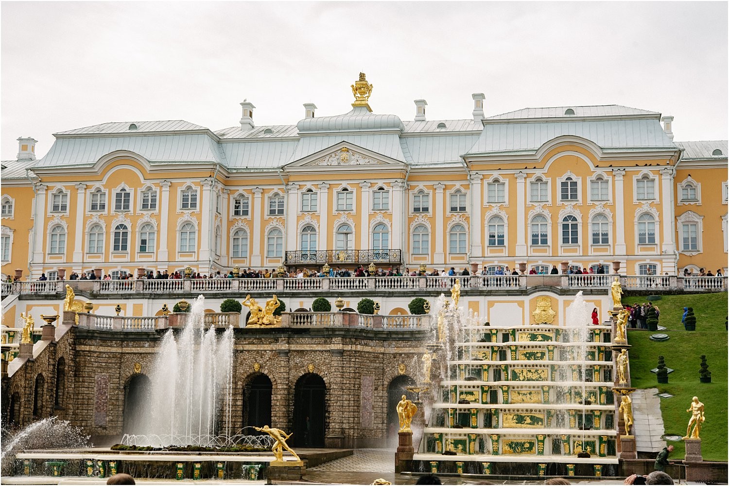 3 Expert Tips for Stunning Holiday Photos with the Nikkor 60mm Micro Lens