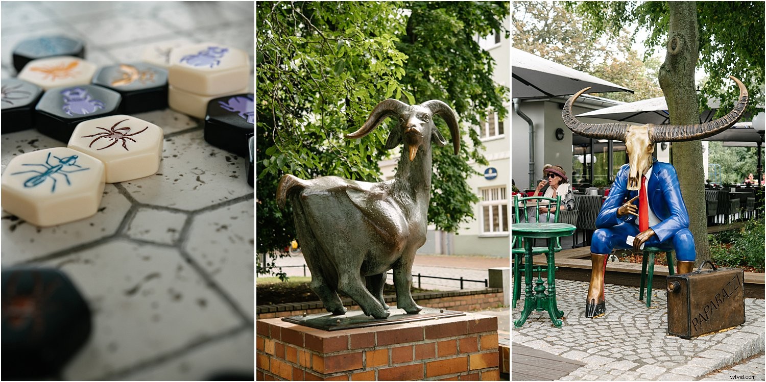 3 Expert Tips for Stunning Holiday Photos with the Nikkor 60mm Micro Lens