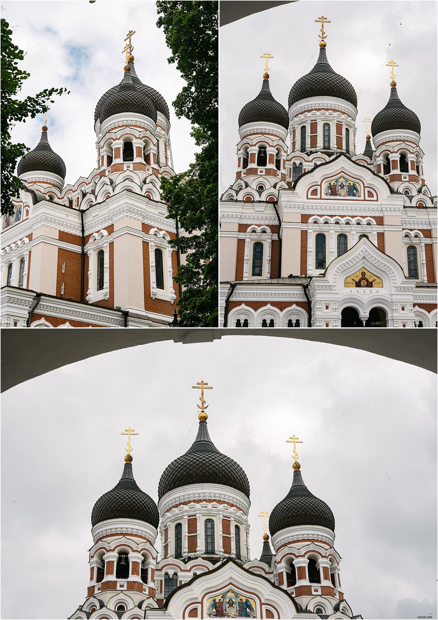 3 Expert Tips for Stunning Holiday Photos with the Nikkor 60mm Micro Lens