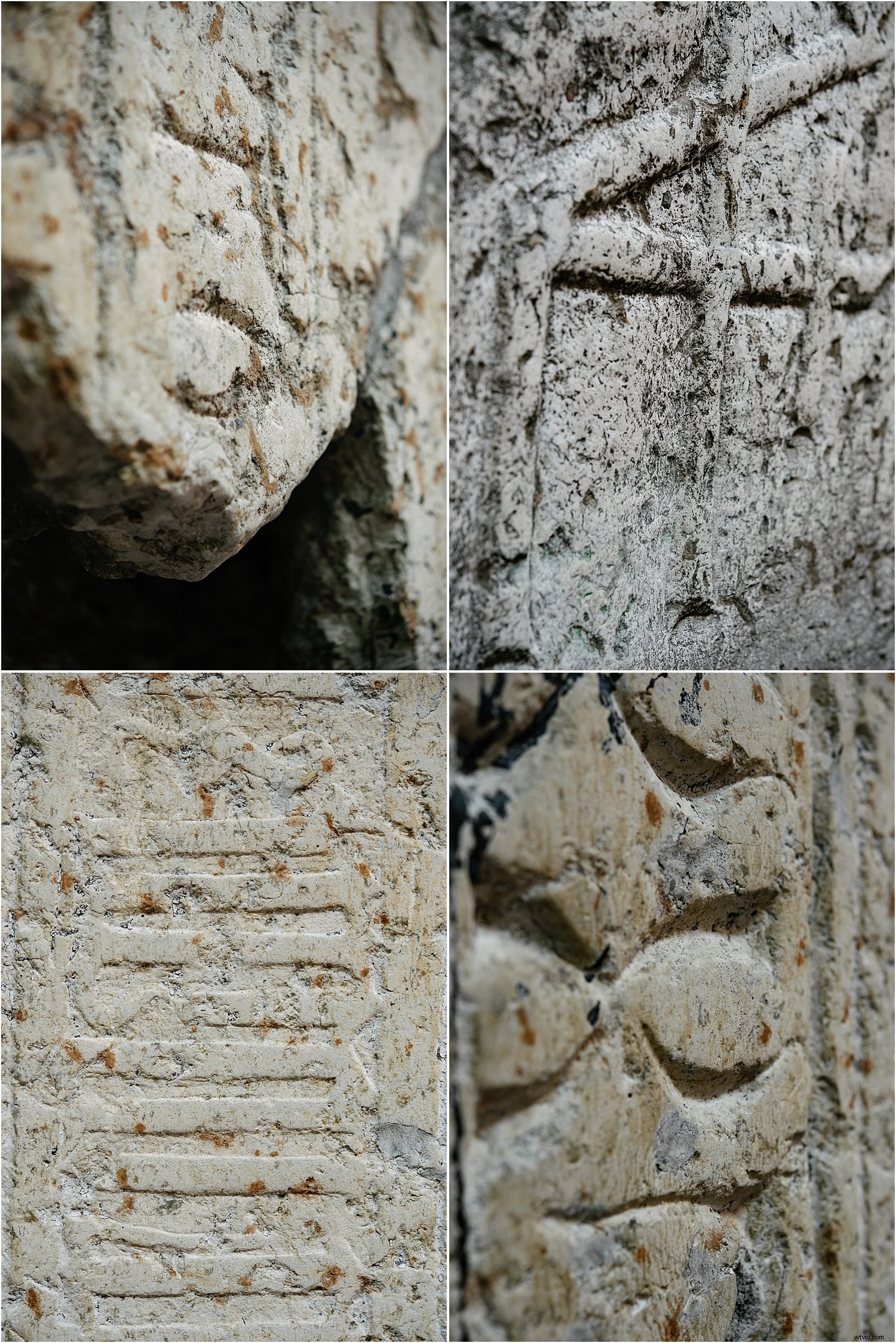 3 Expert Tips for Stunning Holiday Photos with the Nikkor 60mm Micro Lens