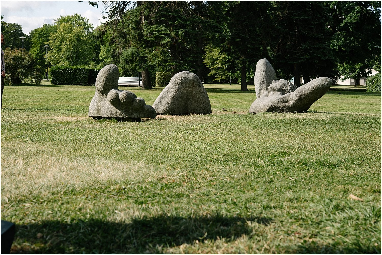 3 Expert Tips for Stunning Holiday Photos with the Nikkor 60mm Micro Lens