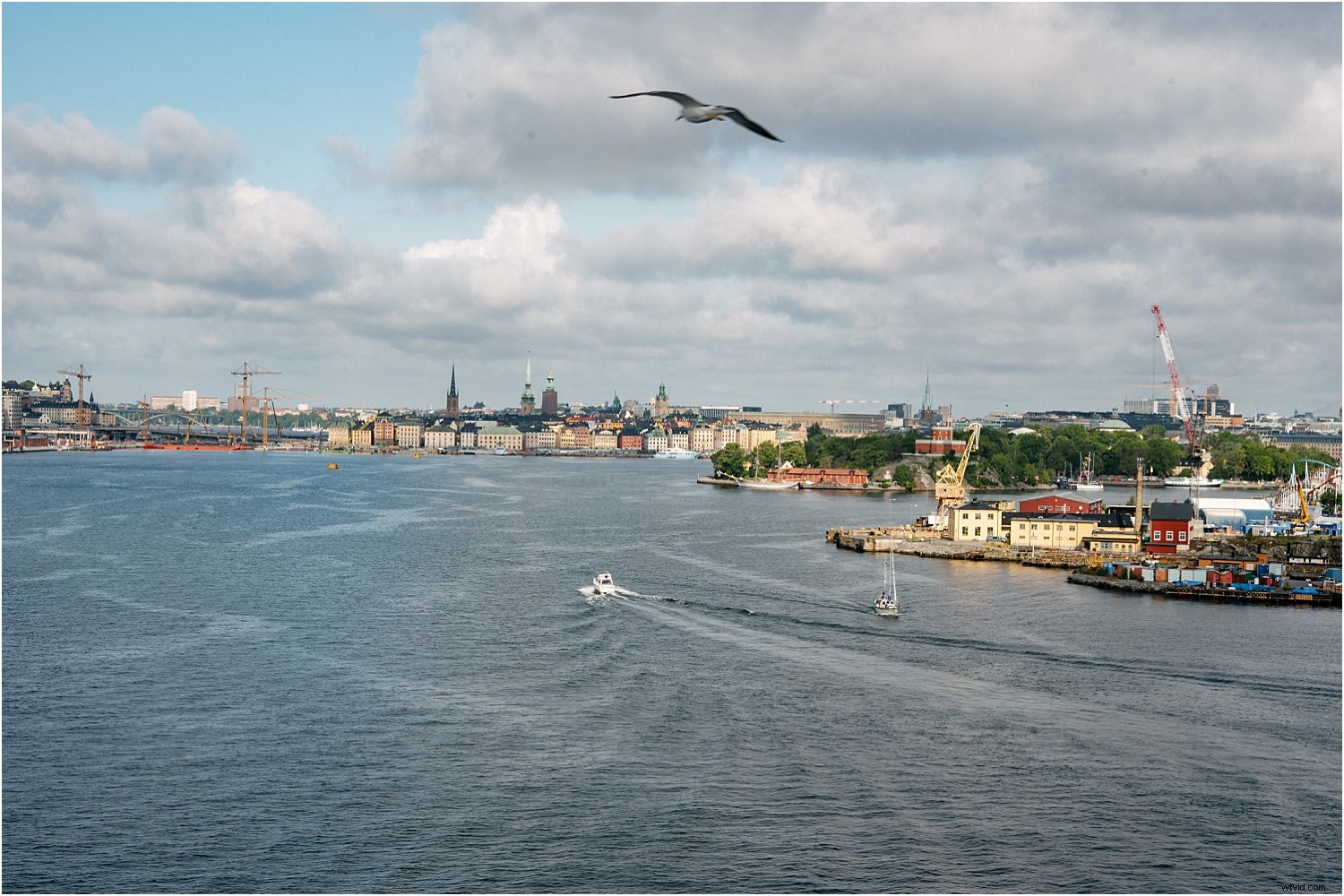 3 Expert Tips for Stunning Holiday Photos with the Nikkor 60mm Micro Lens