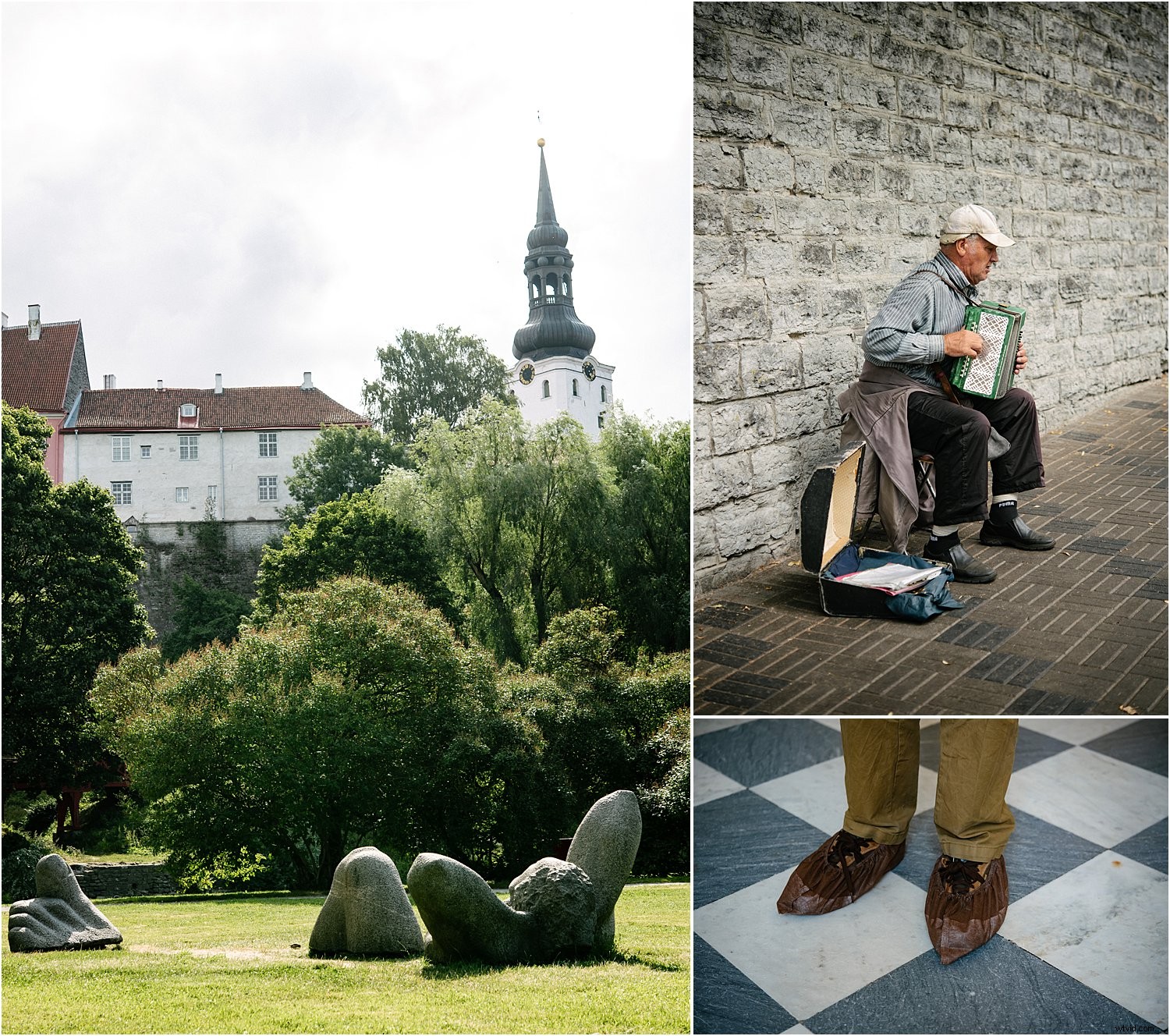 3 Expert Tips for Stunning Holiday Photos with the Nikkor 60mm Micro Lens