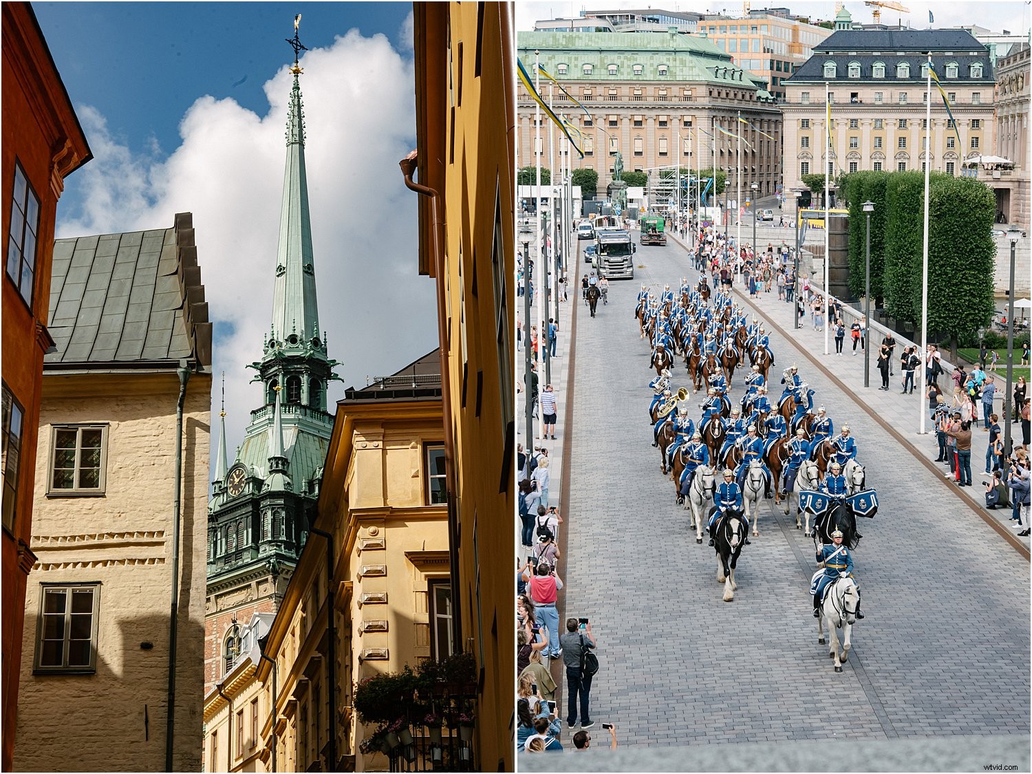 3 Expert Tips for Stunning Holiday Photos with the Nikkor 60mm Micro Lens