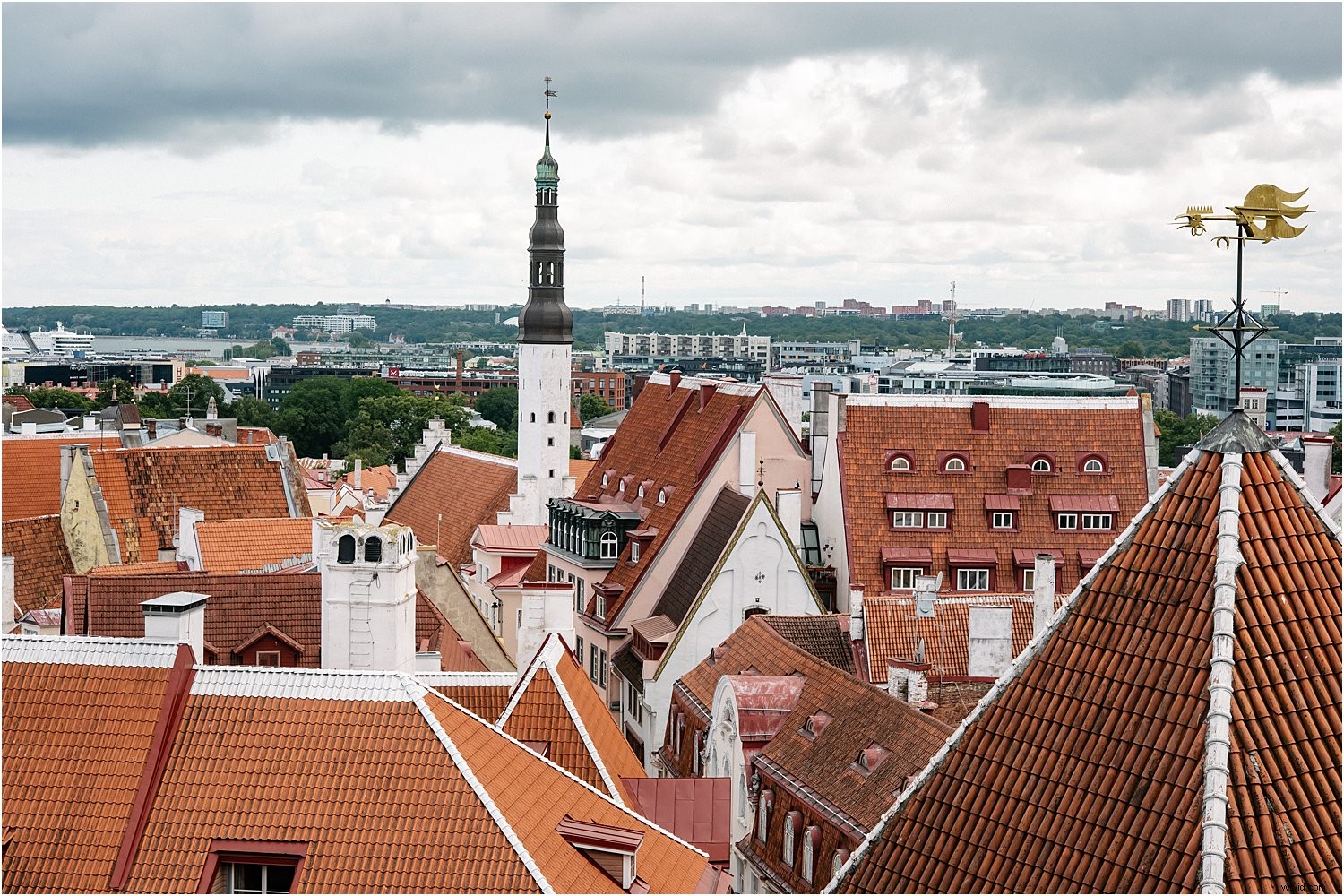 3 Expert Tips for Stunning Holiday Photos with the Nikkor 60mm Micro Lens