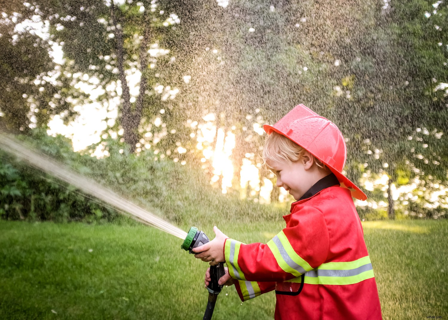 Expert Guide: How to Plan and Nail a Fun Toddler Photo Session