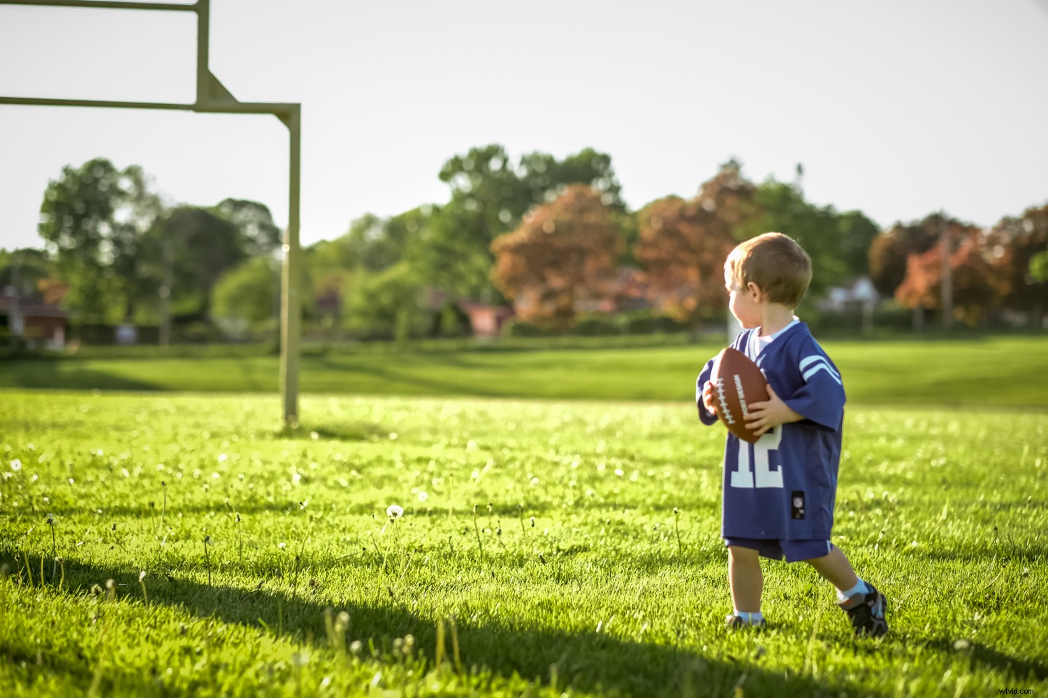 Expert Guide: How to Plan and Nail a Fun Toddler Photo Session