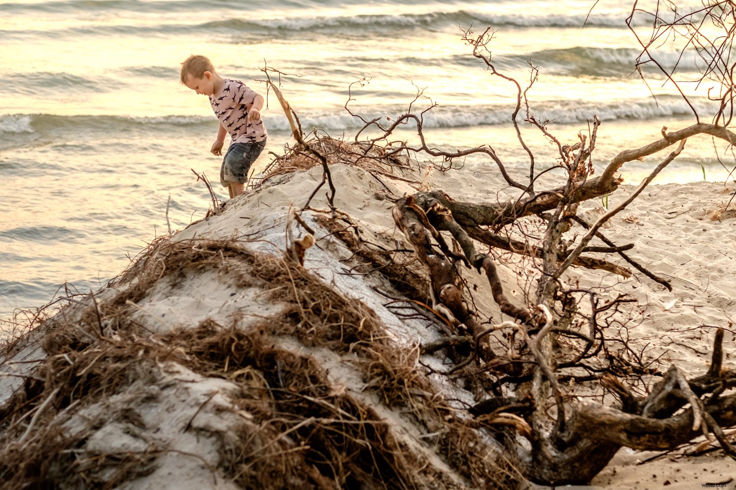 Expert Guide: How to Plan and Nail a Fun Toddler Photo Session