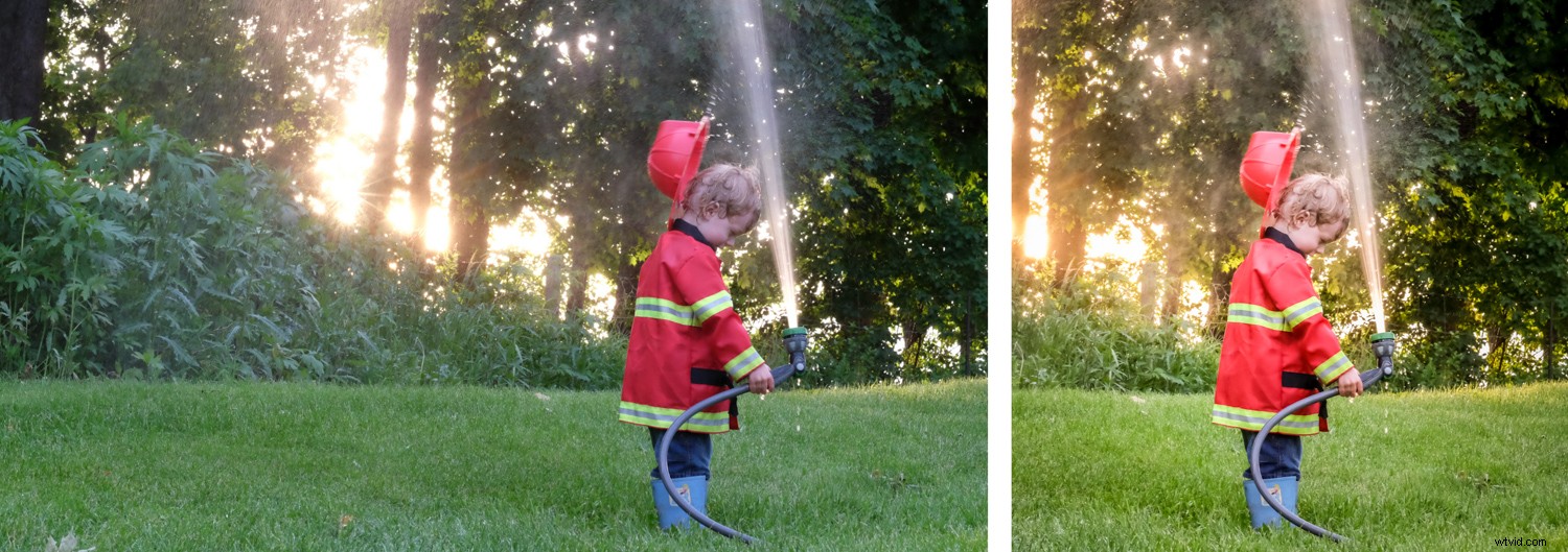 Expert Guide: How to Plan and Nail a Fun Toddler Photo Session