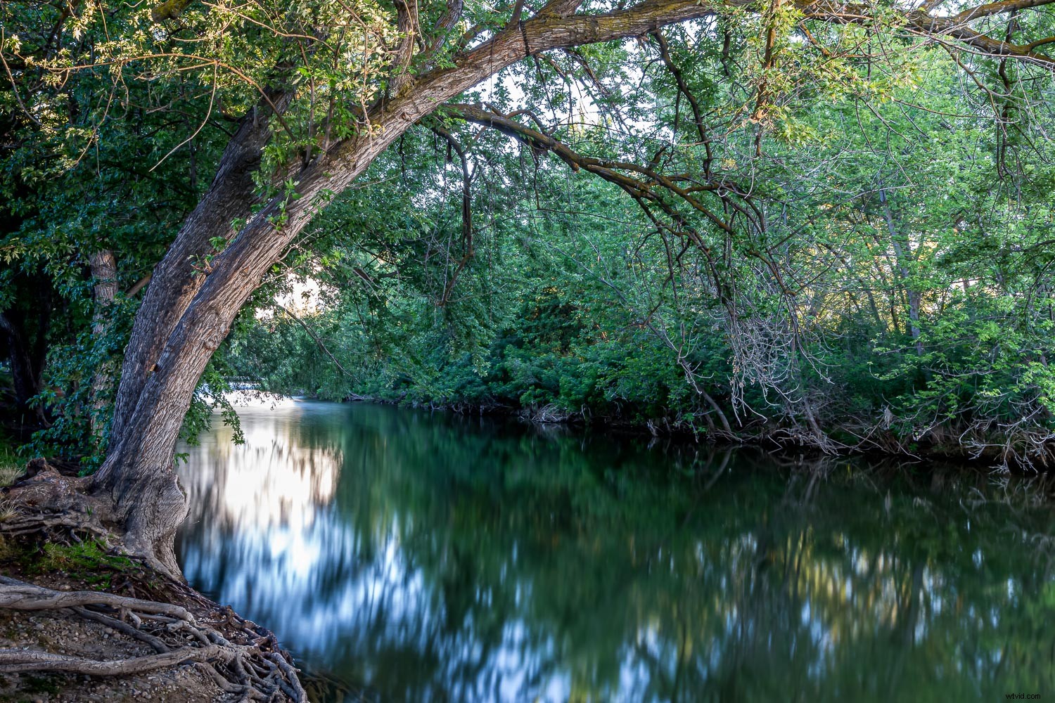 Master Long Exposure Effects: Simulate with Stacked Image Averaging
