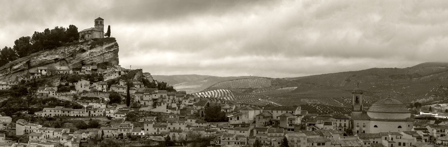 Master Monochromatic Photography: Evoke Powerful Emotions with Single-Color Tones