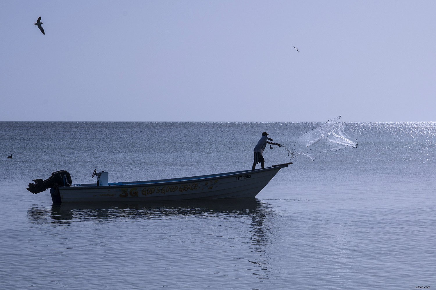 Master Monochromatic Photography: Evoke Powerful Emotions with Single-Color Tones