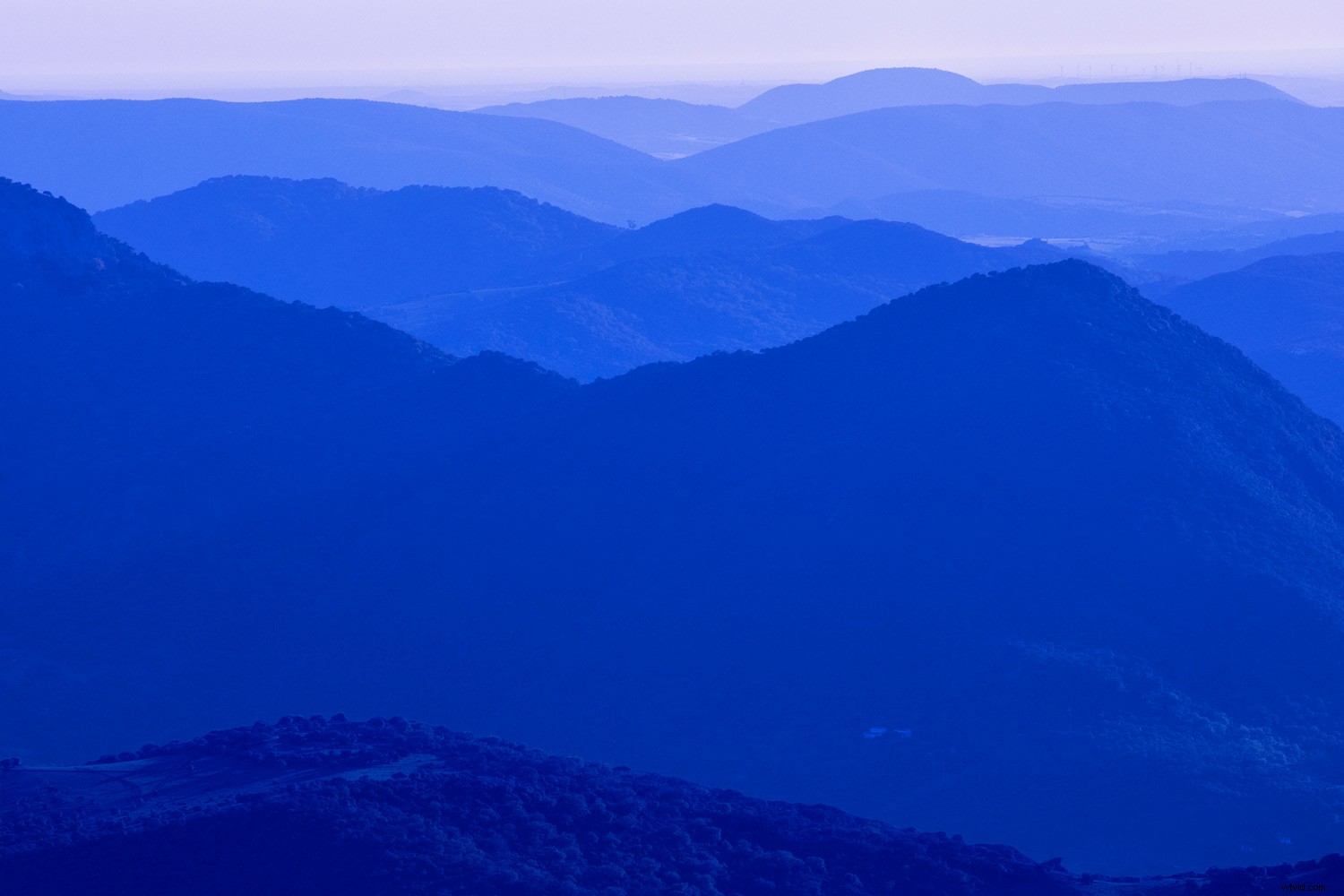 Master Monochromatic Photography: Evoke Powerful Emotions with Single-Color Tones