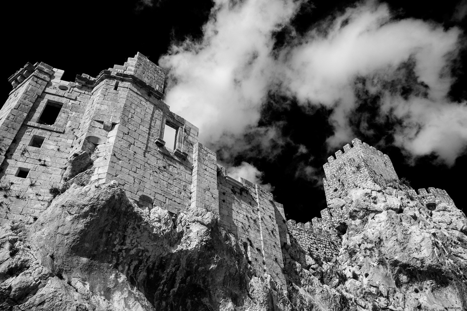 Master Monochromatic Photography: Evoke Powerful Emotions with Single-Color Tones