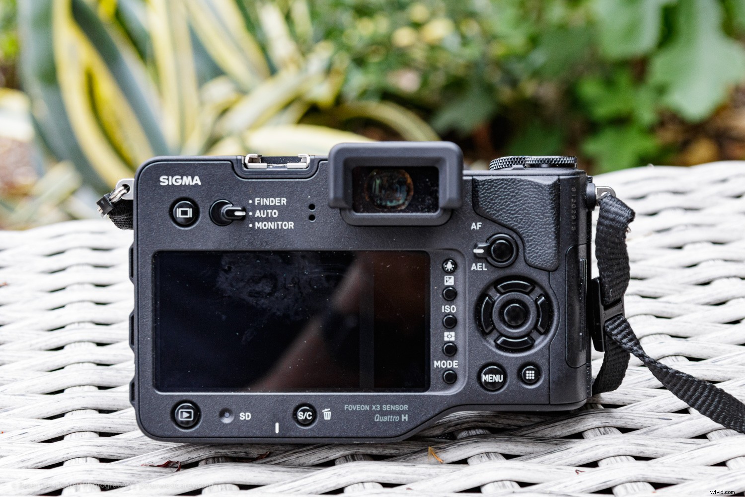Sigma sd Quattro H Review: Astonishing Crisp Images for Landscape & Portrait Pros