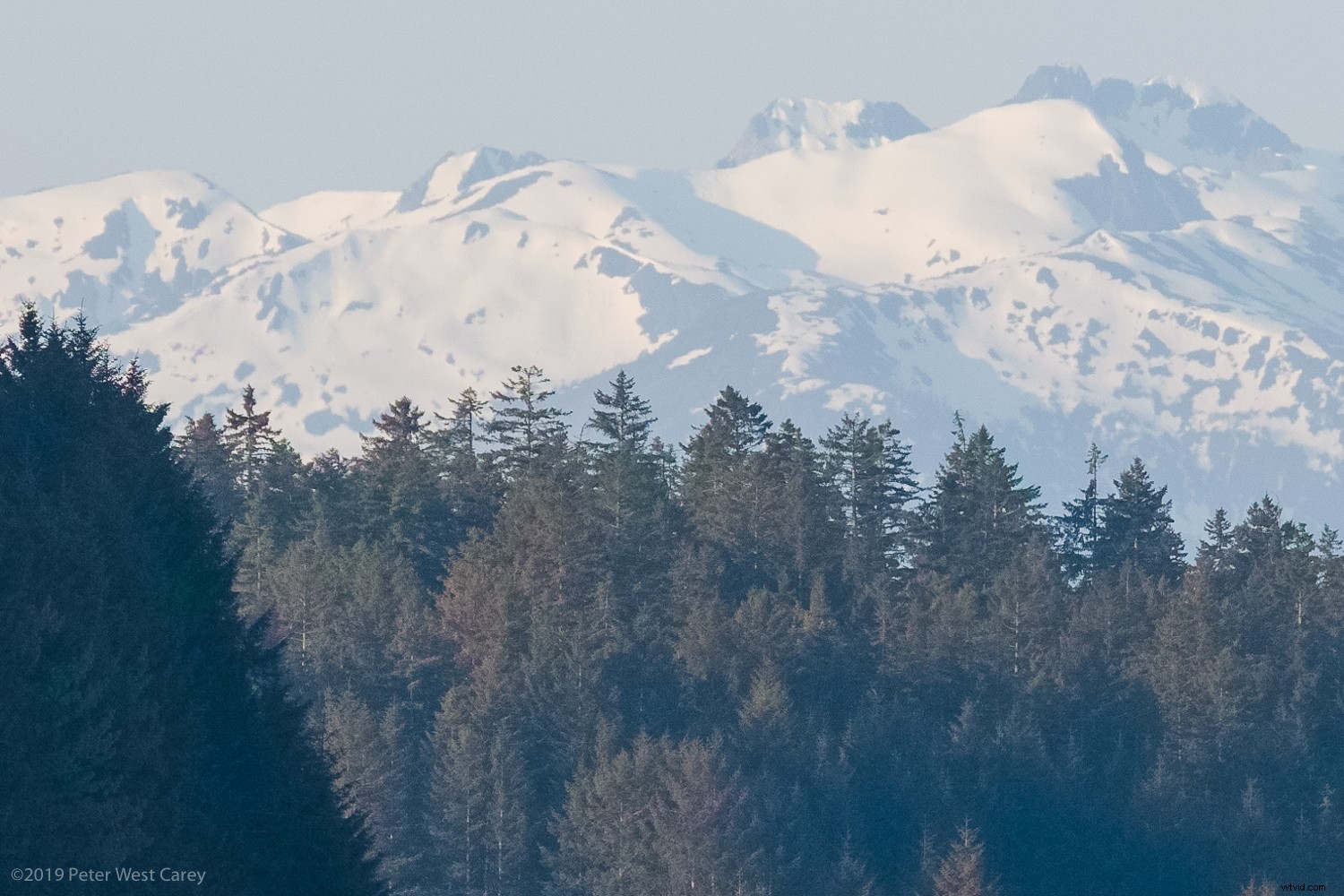 Sigma sd Quattro H Review: Astonishing Crisp Images for Landscape & Portrait Pros