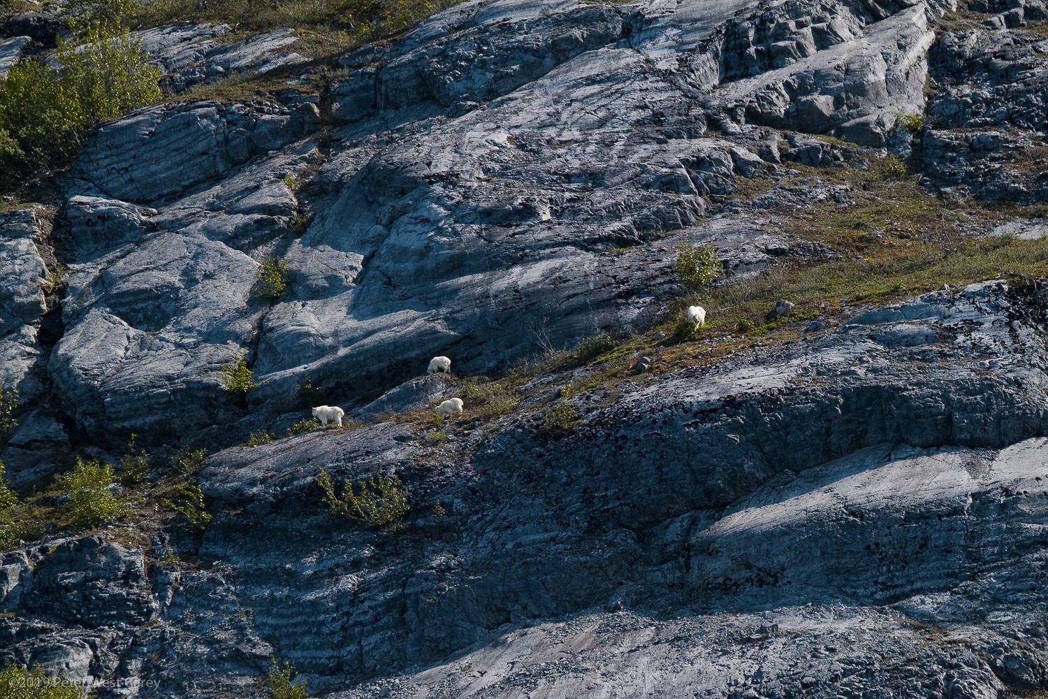 Sigma sd Quattro H Review: Astonishing Crisp Images for Landscape & Portrait Pros