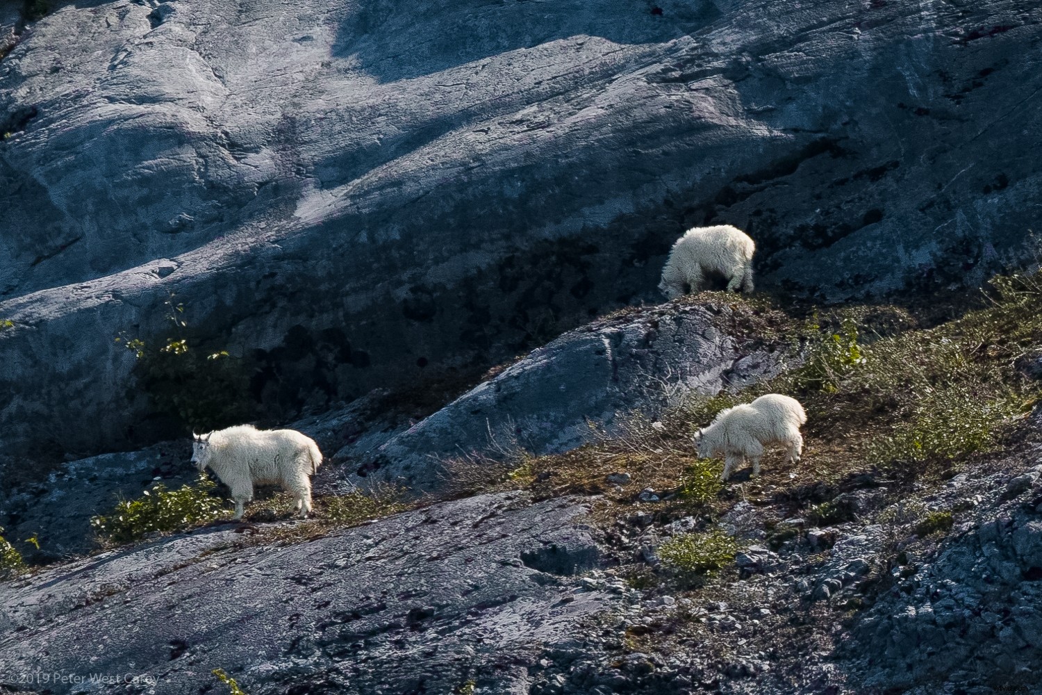 Sigma sd Quattro H Review: Astonishing Crisp Images for Landscape & Portrait Pros