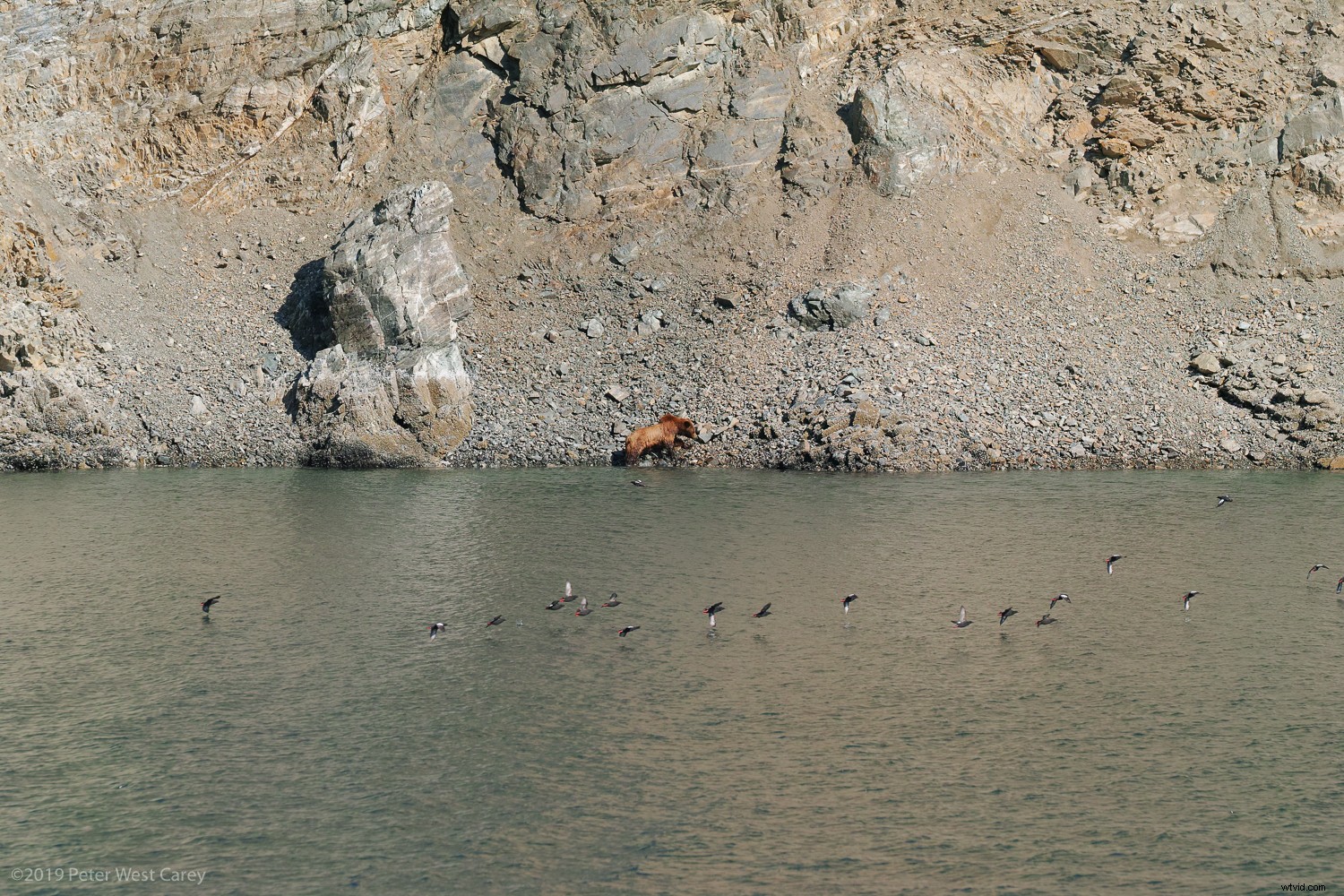 Sigma sd Quattro H Review: Astonishing Crisp Images for Landscape & Portrait Pros