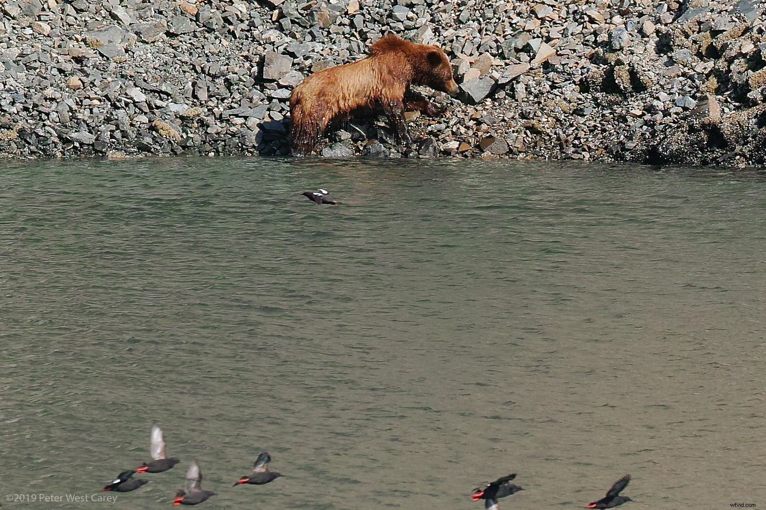 Sigma sd Quattro H Review: Astonishing Crisp Images for Landscape & Portrait Pros