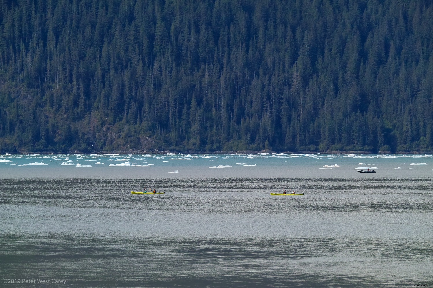 Sigma sd Quattro H Review: Astonishing Crisp Images for Landscape & Portrait Pros