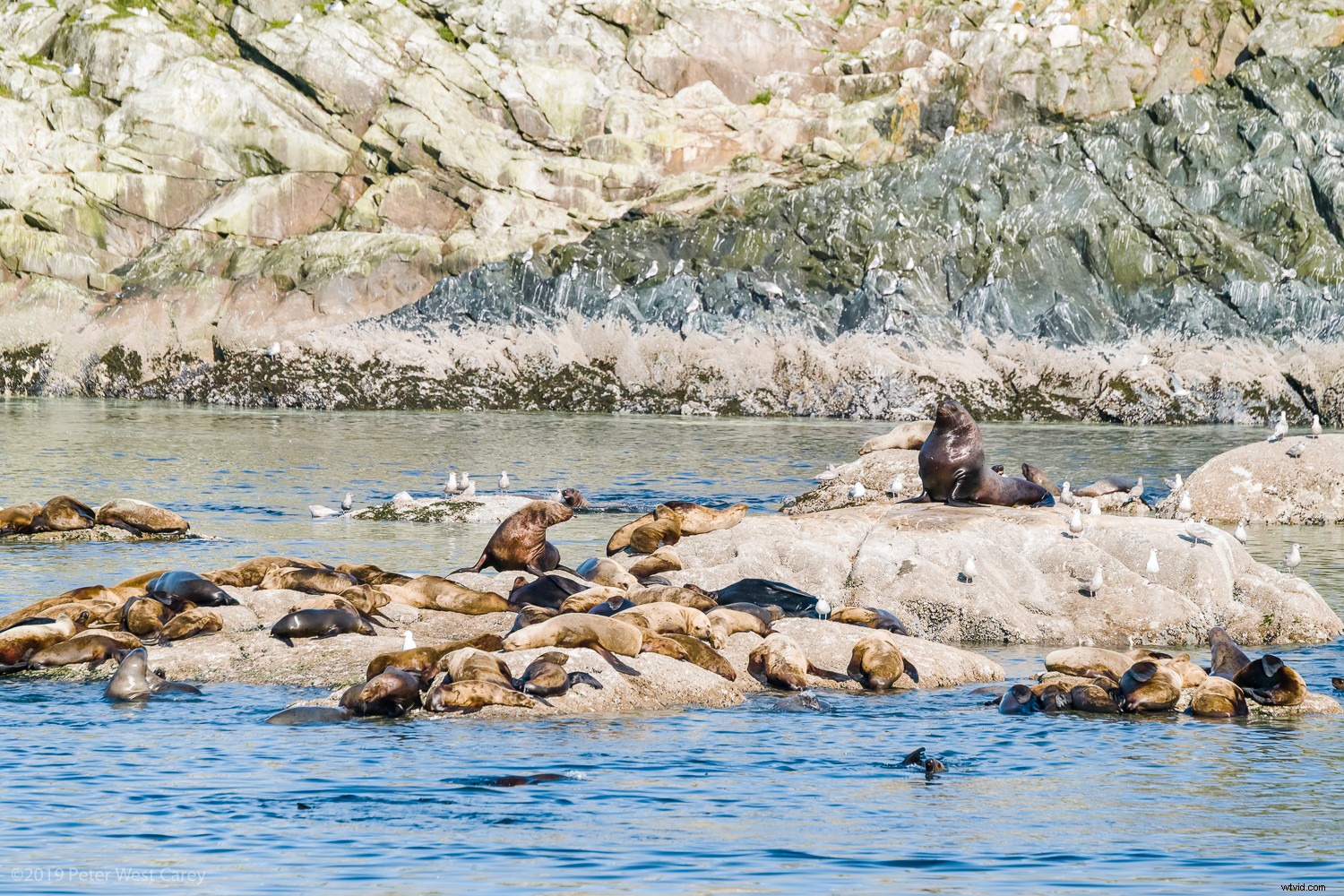 Sigma sd Quattro H Review: Astonishing Crisp Images for Landscape & Portrait Pros