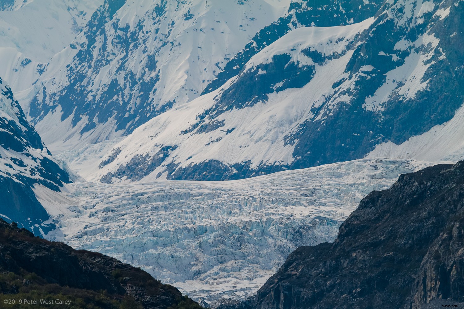 Sigma sd Quattro H Review: Astonishing Crisp Images for Landscape & Portrait Pros