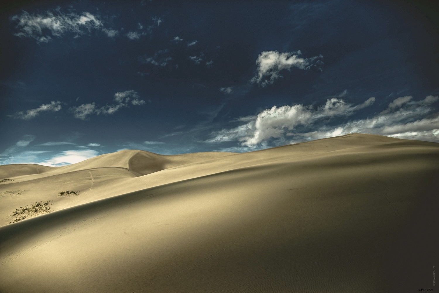 Timeless Lessons from Photography Master Sally Mann