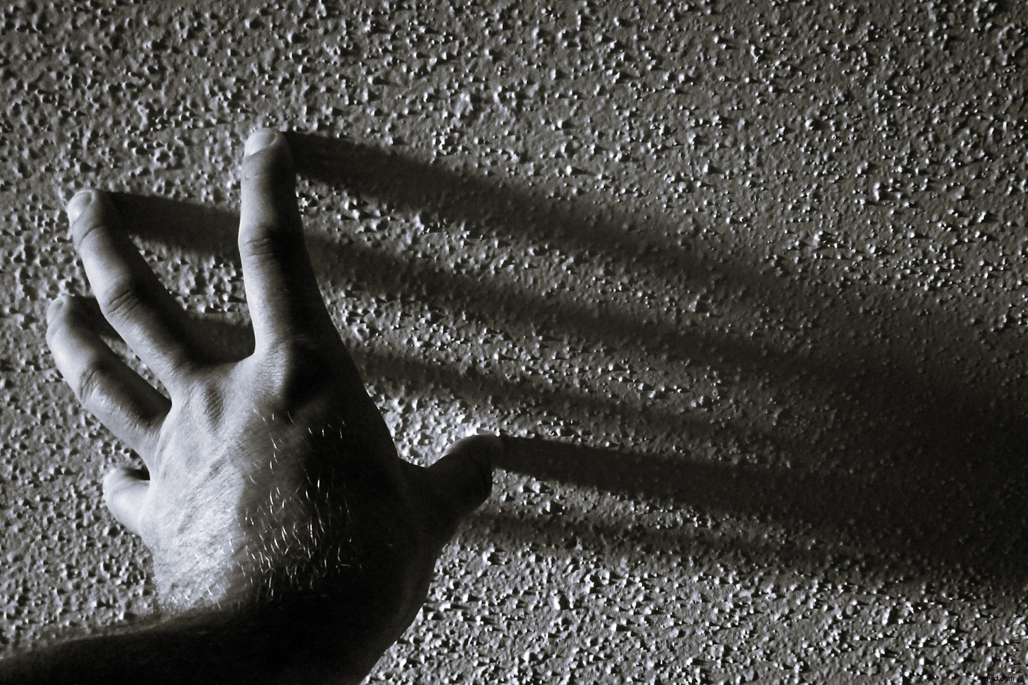 Timeless Lessons from Photography Master Sally Mann