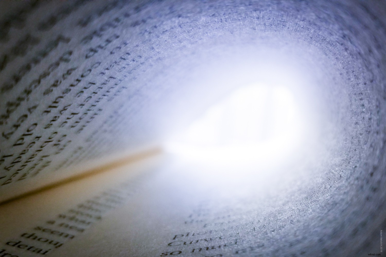 Timeless Lessons from Photography Master Sally Mann