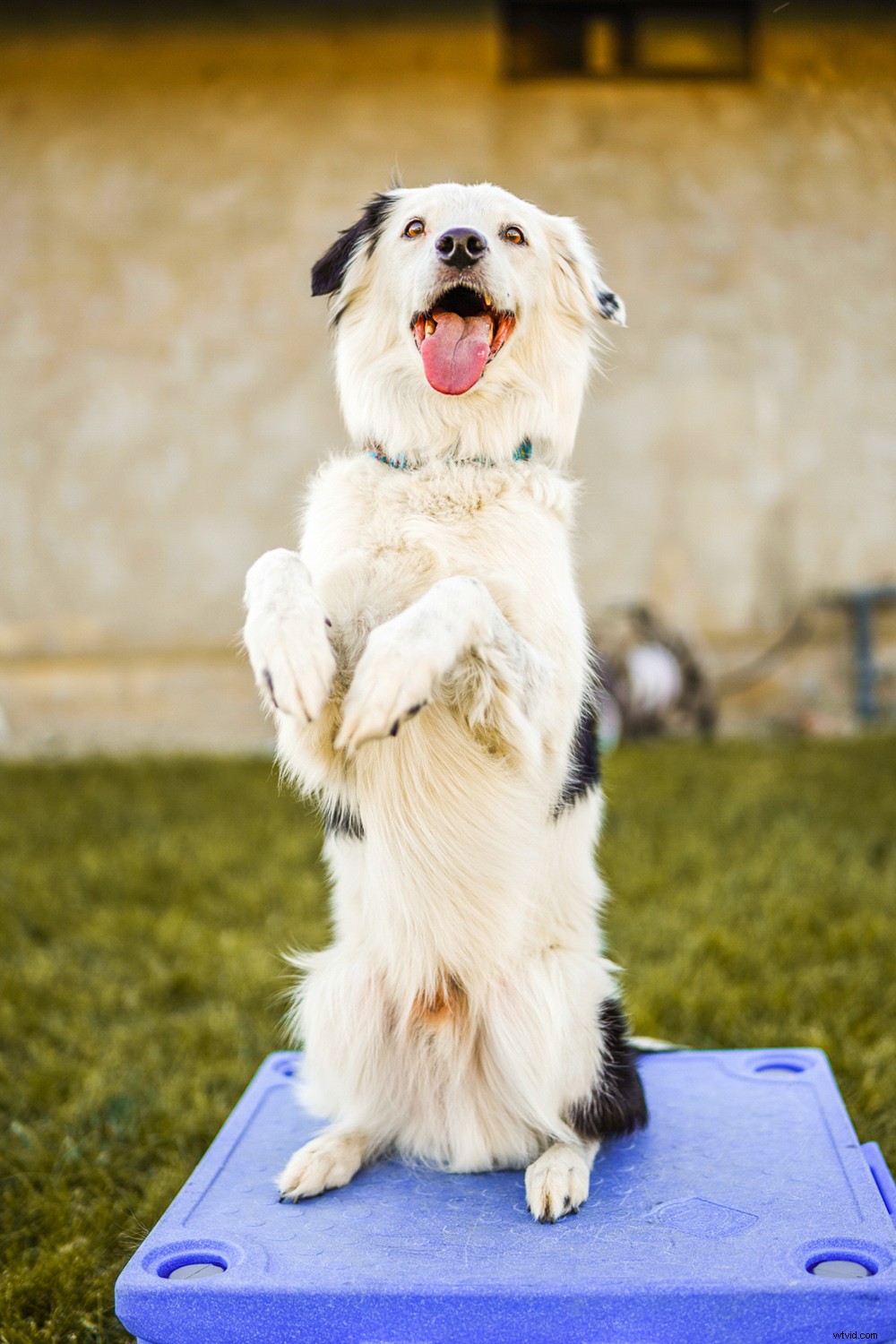 Expert Review: Sigma 35mm f/1.2 DG DN Art Lens for Sony E-Mount – Fastest Native Autofocus Prime