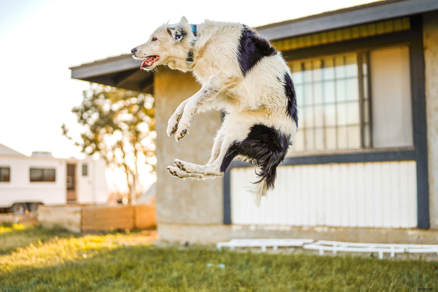 Expert Review: Sigma 35mm f/1.2 DG DN Art Lens for Sony E-Mount – Fastest Native Autofocus Prime