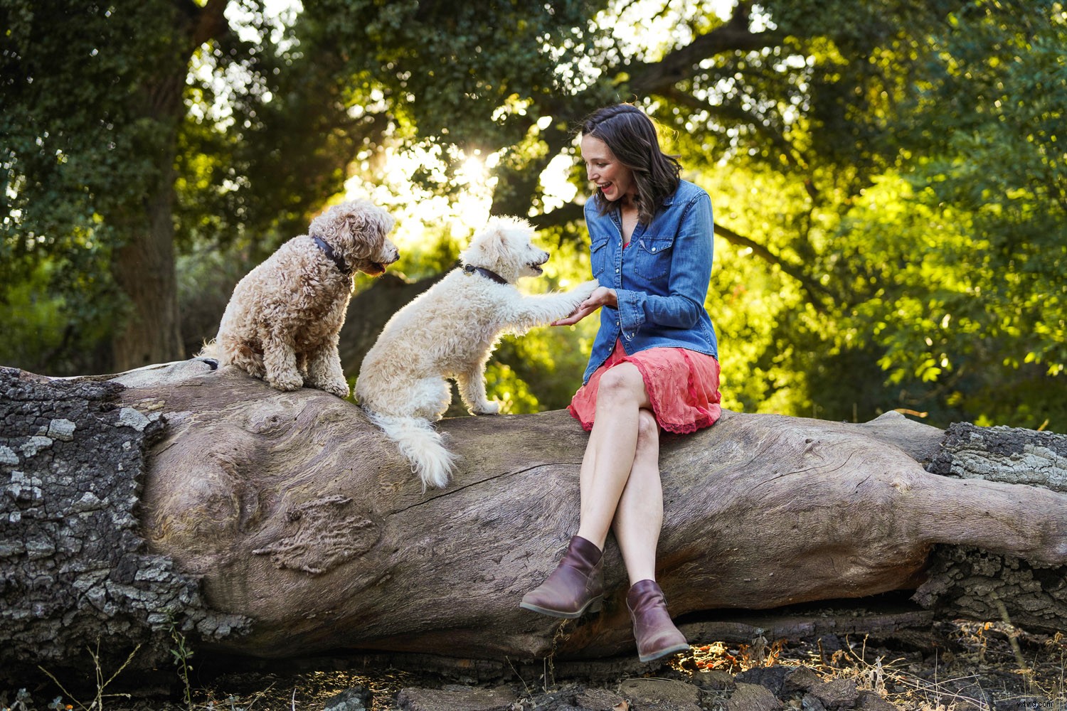 Expert Review: Sigma 35mm f/1.2 DG DN Art Lens for Sony E-Mount – Fastest Native Autofocus Prime