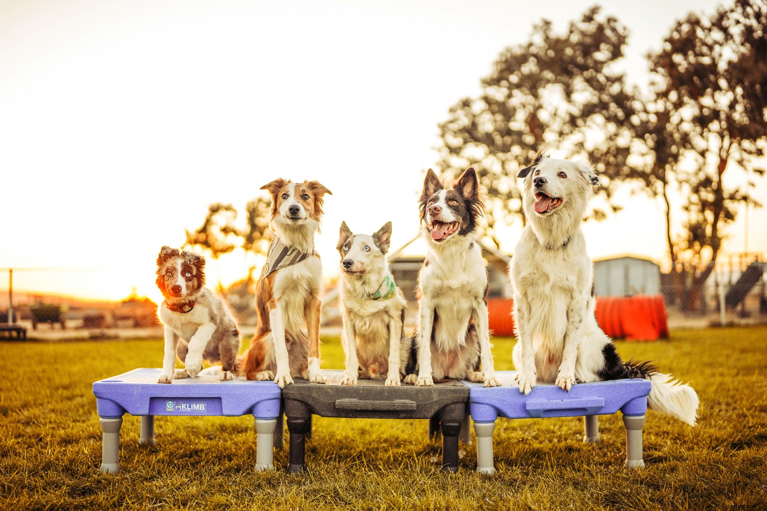 Expert Review: Sigma 35mm f/1.2 DG DN Art Lens for Sony E-Mount – Fastest Native Autofocus Prime