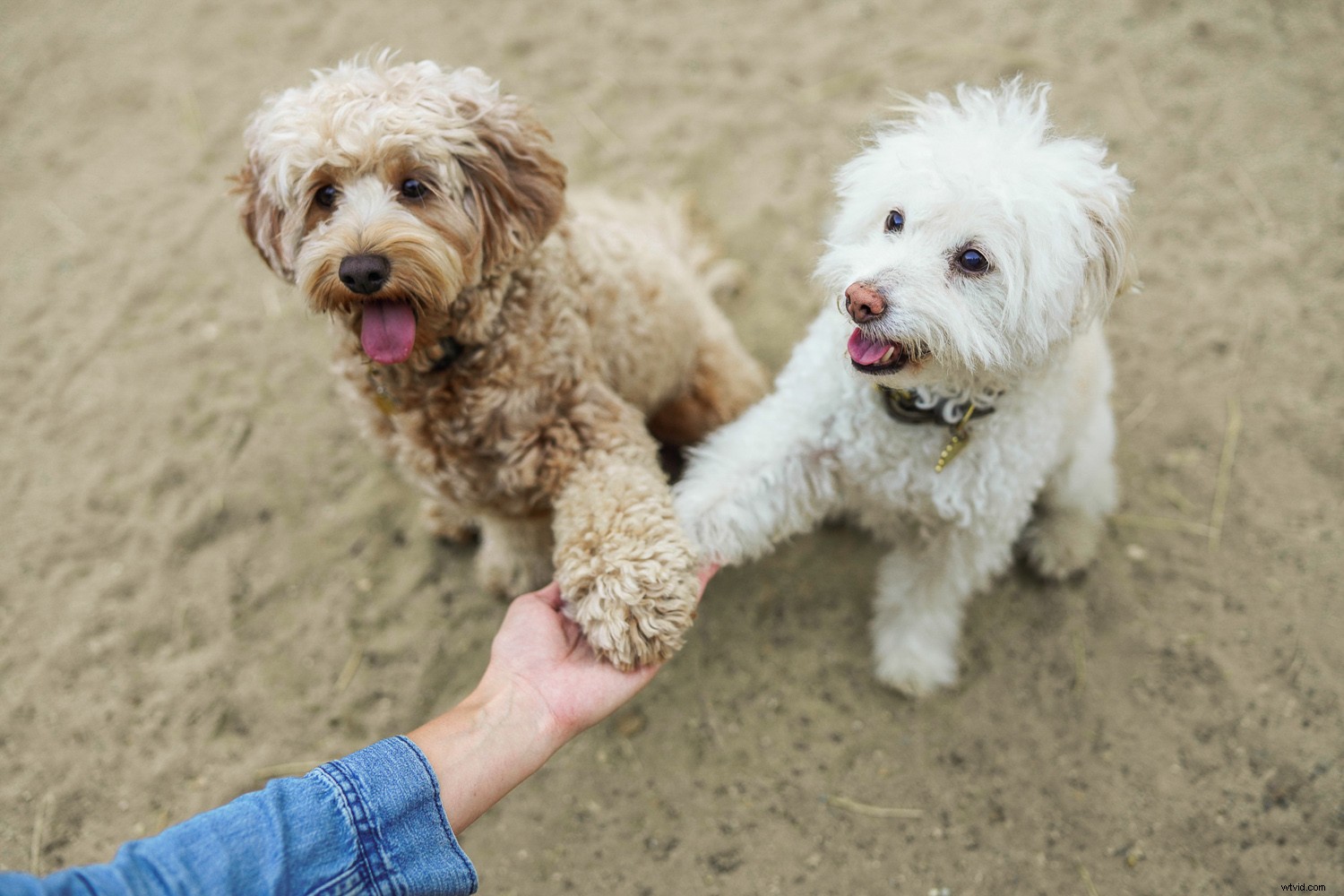 Expert Review: Sigma 35mm f/1.2 DG DN Art Lens for Sony E-Mount – Fastest Native Autofocus Prime