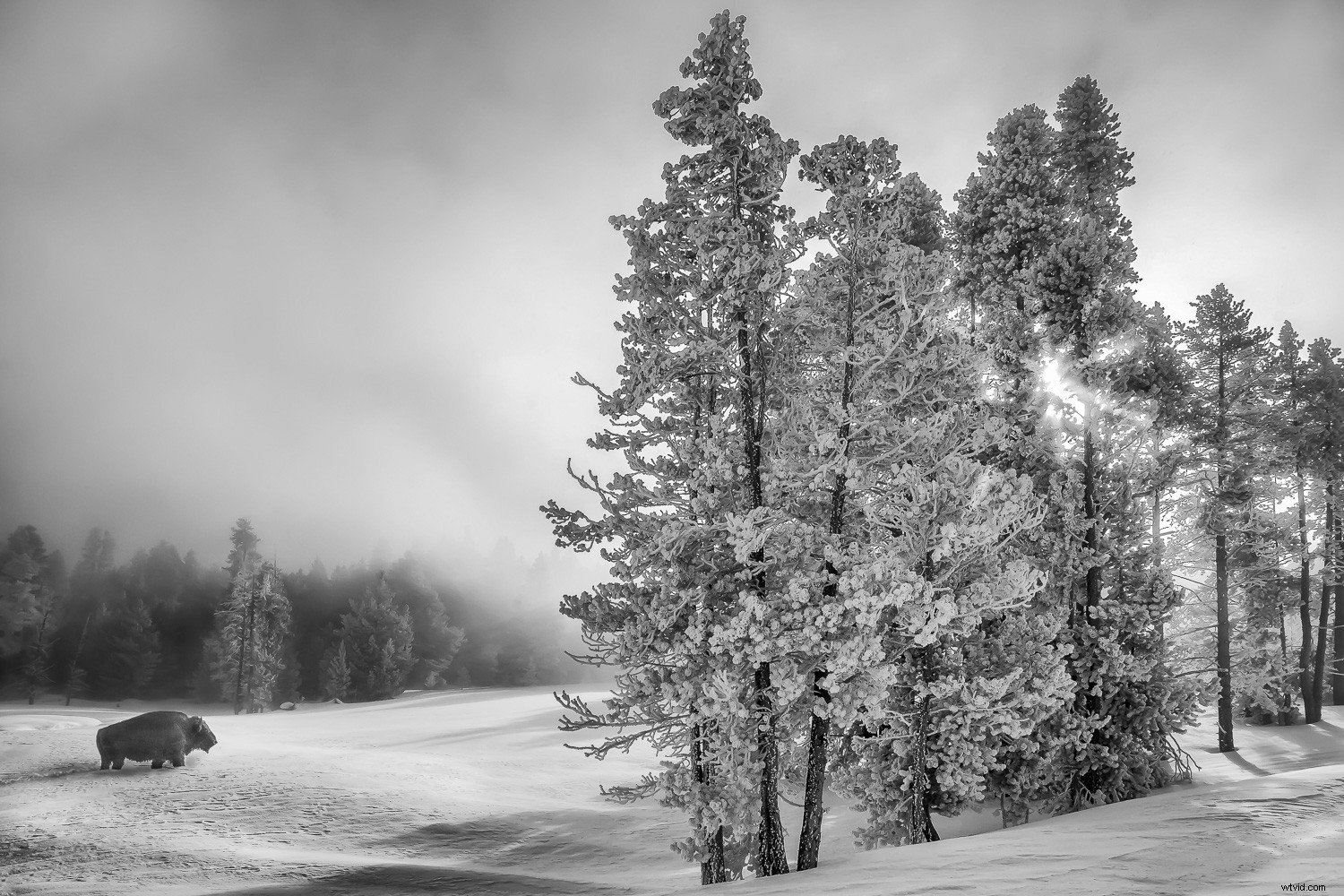 Fake It Till You Make It: Crafting Convincing Photo Composites