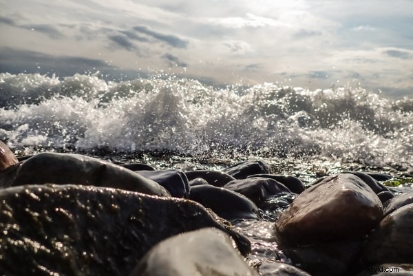 Olympus Tough TG-6 Review: The Ultimate Rugged Camera for Adventures