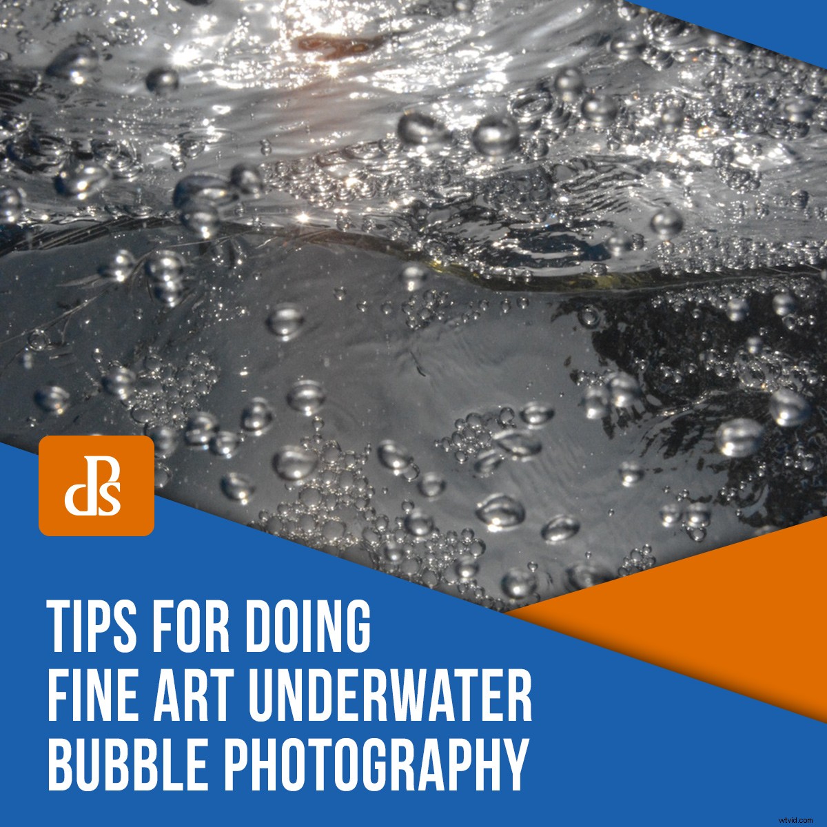 Master Fine Art Underwater Bubble Photography: Expert Tips & Techniques