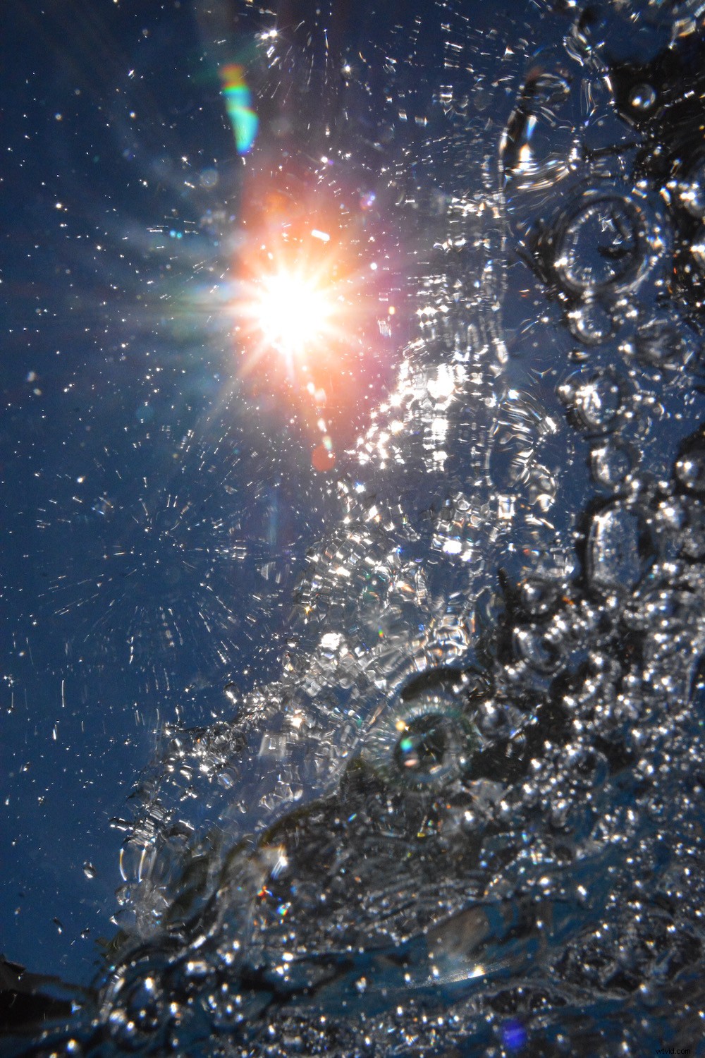 Master Fine Art Underwater Bubble Photography: Expert Tips & Techniques