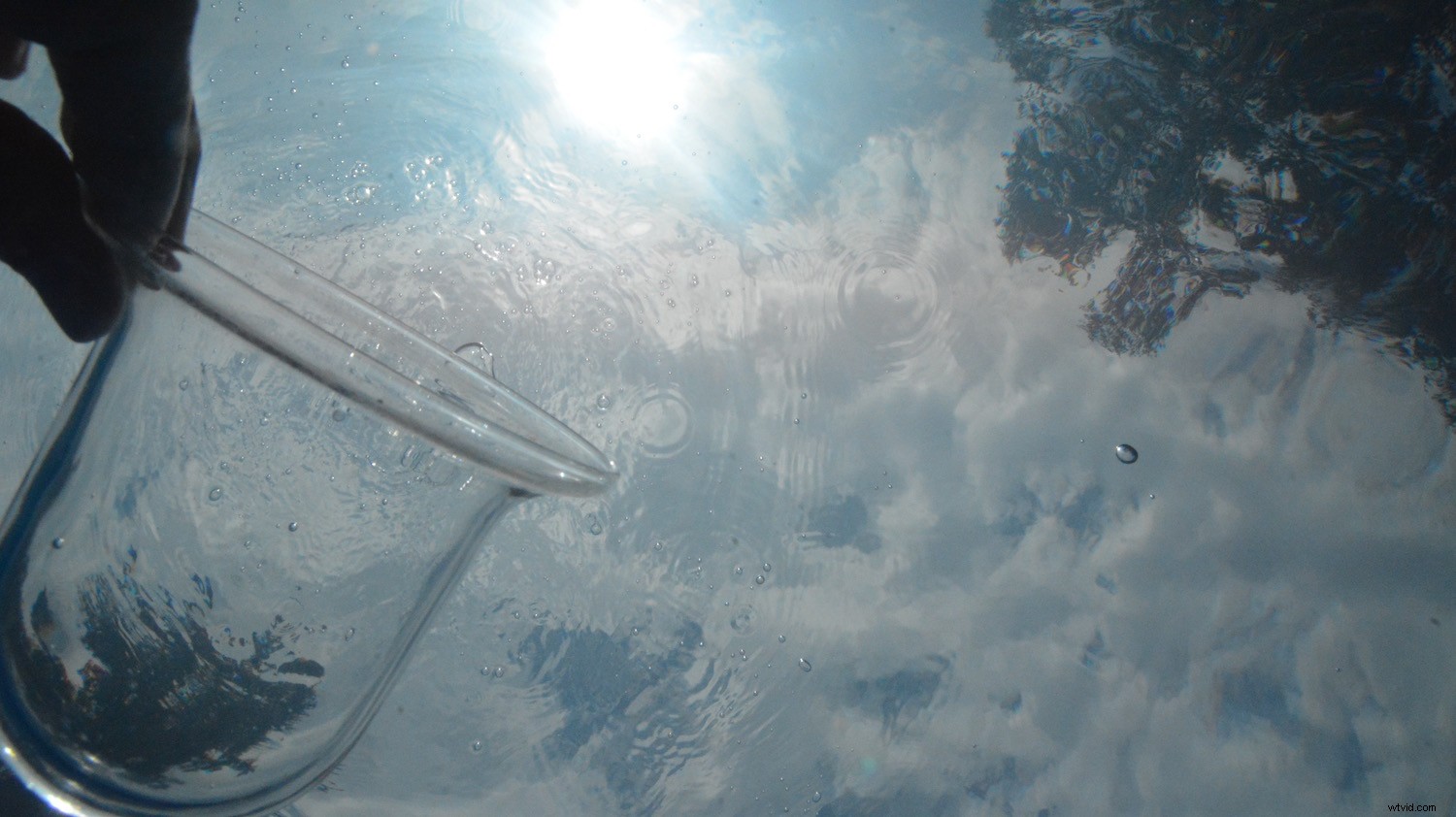 Master Fine Art Underwater Bubble Photography: Expert Tips & Techniques