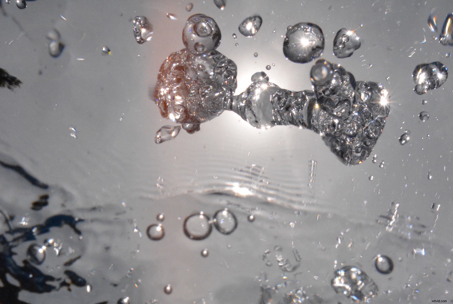 Master Fine Art Underwater Bubble Photography: Expert Tips & Techniques