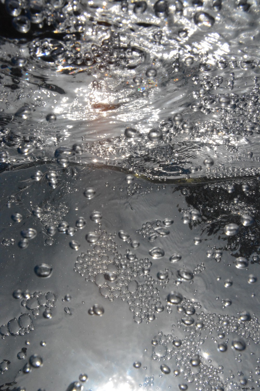 Master Fine Art Underwater Bubble Photography: Expert Tips & Techniques