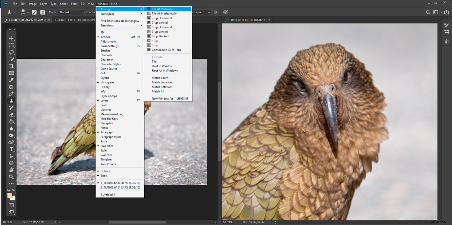 10 Essential Photoshop CC Tricks for Professional Photo Editing