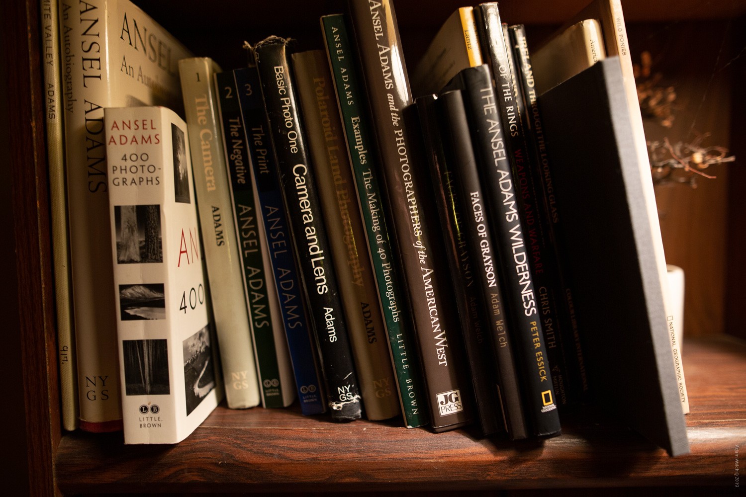 The Timeless Value of Photo Books in a Digital Age