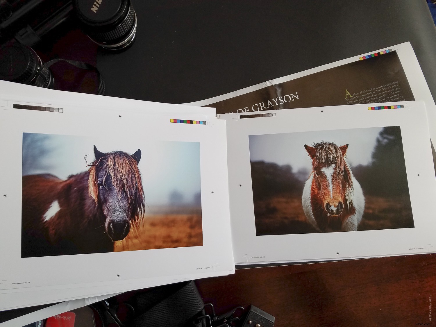 The Timeless Value of Photo Books in a Digital Age