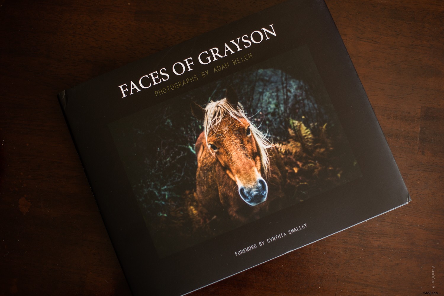 The Timeless Value of Photo Books in a Digital Age