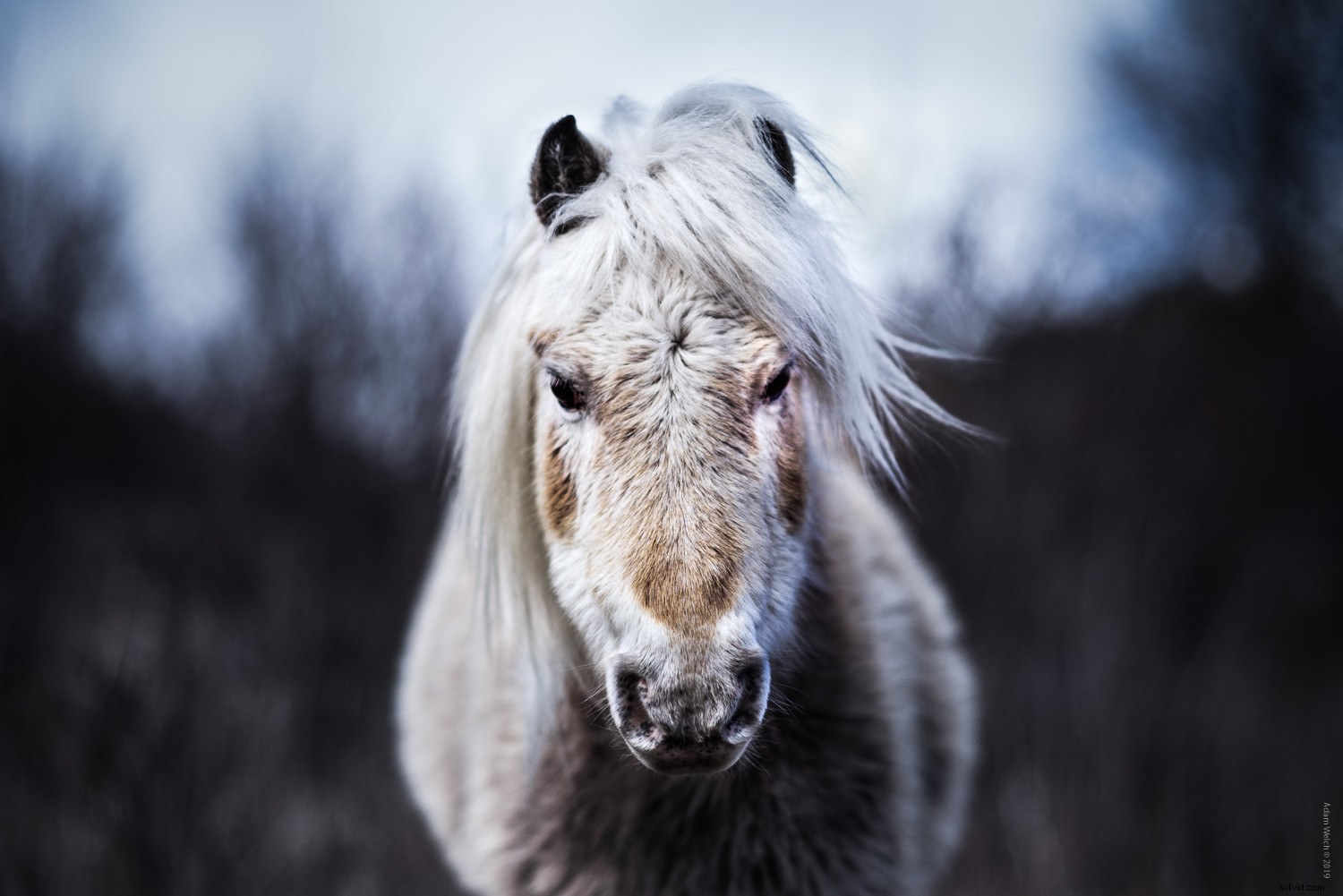 The Timeless Value of Photo Books in a Digital Age