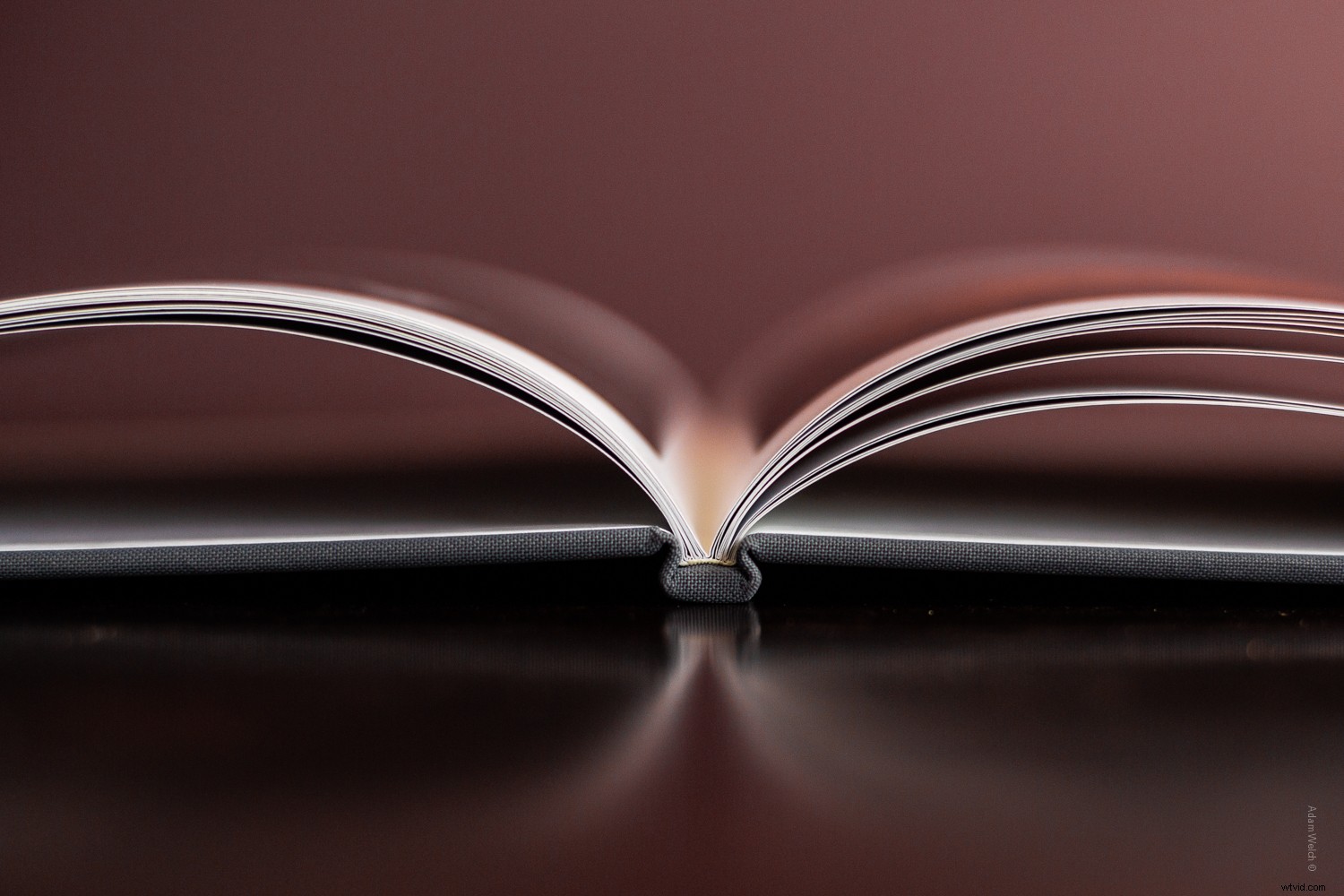 The Timeless Value of Photo Books in a Digital Age